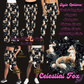 CELESTIAL FOX - LEGGING/JOGGER/LOUNGER/SHORTS - PRETTY RUN PREORDER CLOSING 3/21