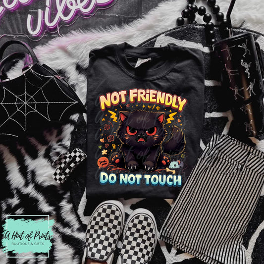 Not Friendly Do Not Touch – Grumpy Black Cat Graphic Tee, Hoodie & Crewneck