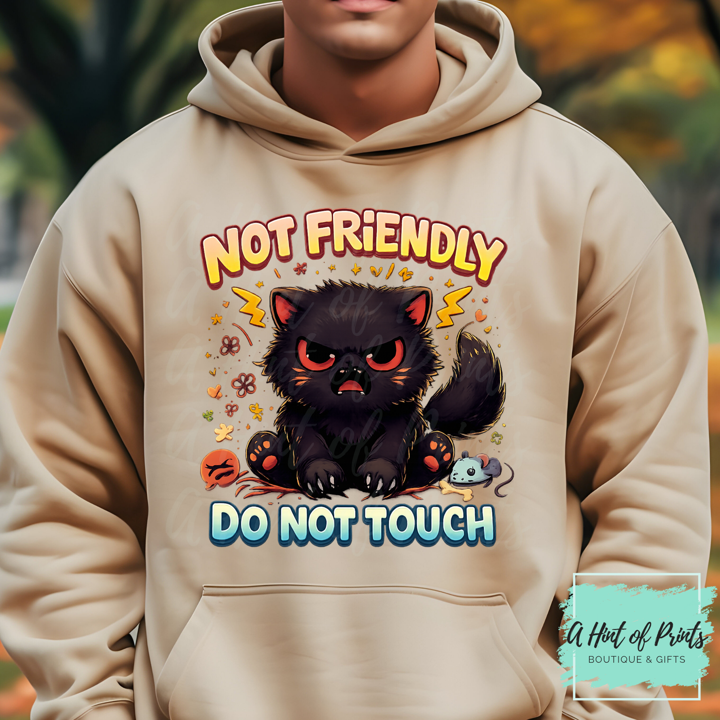 Not Friendly Do Not Touch – Grumpy Black Cat Graphic Tee, Hoodie & Crewneck